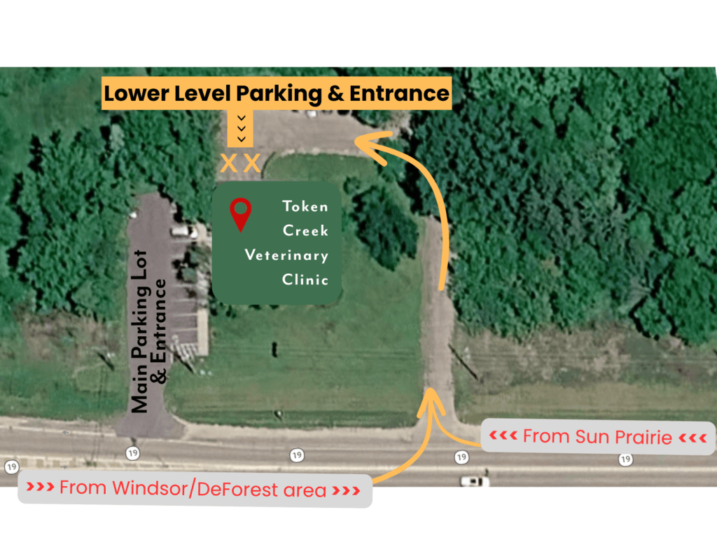 Token Creek Veterinary Clinic lower level parking and entrance, showing access off Route 19 from Sun Prairie to the right, and from Windsor DeForest areas from the left, and avoiding the Main Parking Lot and Entrance.